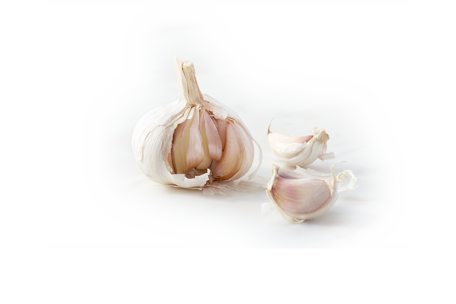 ARE-YOU-READY-TO-PIZZA